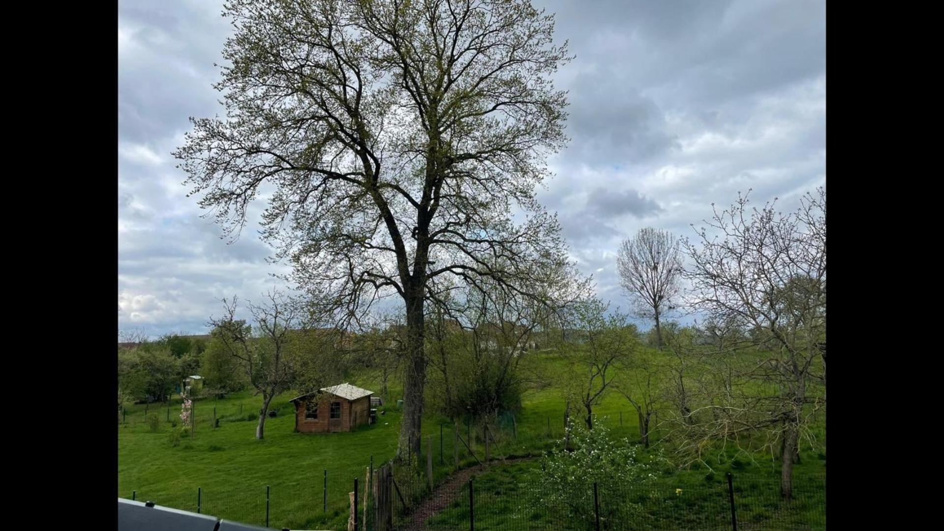Maison 21 Zutzendorf エクステリア 写真